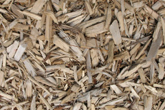 biomass boilers Austendike