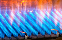 Austendike gas fired boilers
